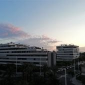 Elche.