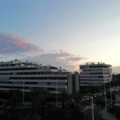 Elche. Elche.