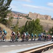 El pelotón, durante la disputa de la etapa de La Vuelta a España