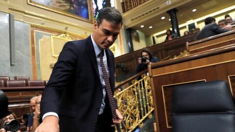 Pedro S&aacute;nchez