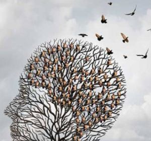 Asociación de Familiares de Enfermos de Alzheimer Asociación de Familiares de Enfermos de Alzheimer