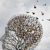 Asociación de Familiares de Enfermos de Alzheimer Asociación de Familiares de Enfermos de Alzheimer