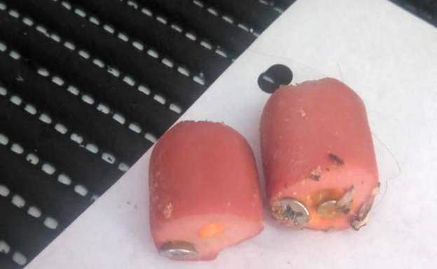 Los veterinarios de Murcia lanzan una plataforma para registrar y perseguir los envenenamientos Los veterinarios de Murcia lanzan una plataforma para registrar y perseguir los envenenamientos