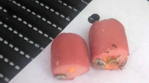 SALCHICHAS ENVENENADAS CON CLAVOS Carne envenenada dirigida a perros