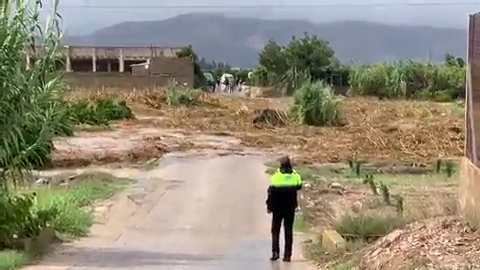 Gota fría: Enorme riada de cañas y barro en Alberic Gota fría: Enorme riada de cañas y barro en Alberic