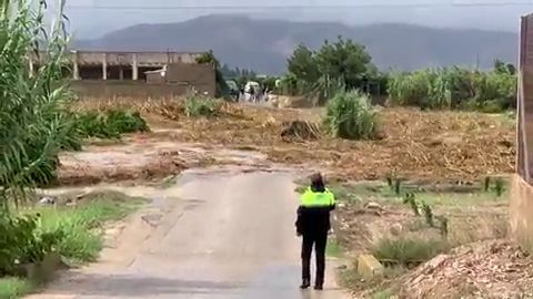 Gota fría: Enorme riada de cañas y barro en Alberic