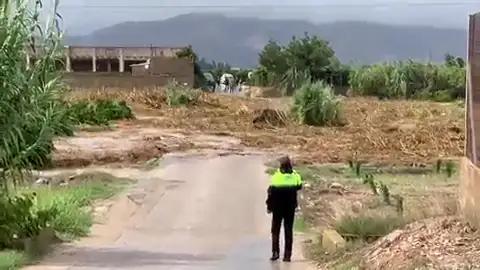 Gota fría: Enorme riada de cañas y barro en Alberic Gota fría: Enorme riada de cañas y barro en Alberic