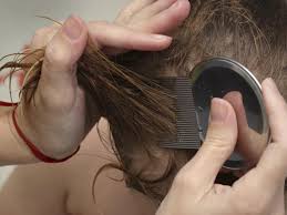 La Farmacia en Casa La Farmacia en Casa