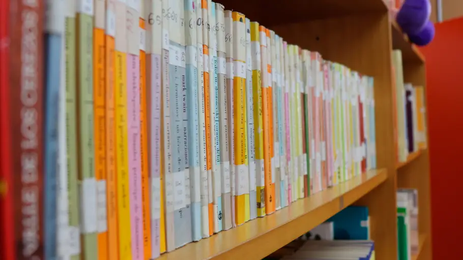 Libros Libros