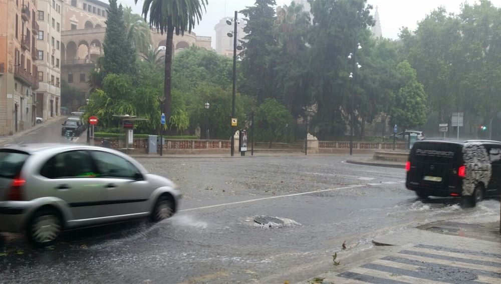 Imagen de archivo de una tormenta caída en Palma