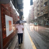 La lluvia ha descargado con fuerza en Elche, Crevillent y Santa Pola en las últimas horas. La lluvia ha descargado con fuerza en Elche, Crevillent y Santa Pola en las últimas horas.