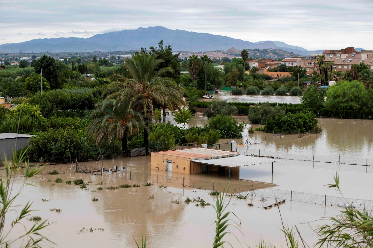 Una nueva rotura en la mota del Segura en Almoradí provoca la salida de aguas y obliga a evacuar Heredades Una nueva rotura en la mota del Segura en Almoradí provoca la salida de aguas y obliga a evacuar Heredades