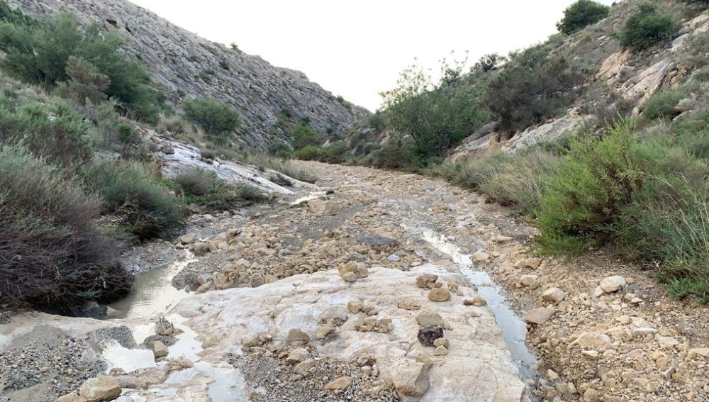 Camino de El Ferriol de Elche tras las lluvias de la gota fría.