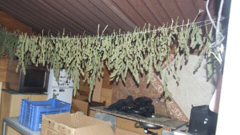 Droga incautada en Xinzo de limia