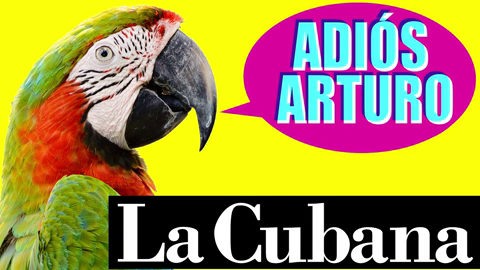 La Cubana presenta 'Adiós, Arturo': "Los funerales tienen mucho de teatral" La Cubana presenta 'Adiós, Arturo': "Los funerales tienen mucho de teatral"