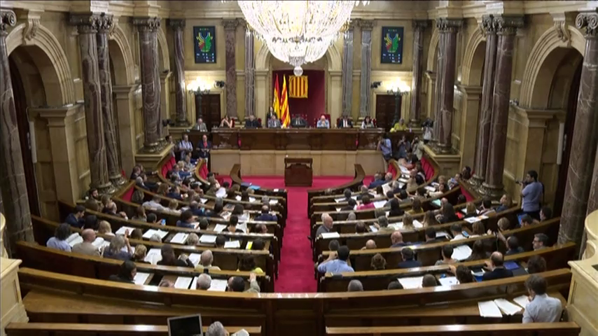 Las preguntas de Amón: "¿Qué Estado de derecho apoya a los terroristas y rechaza las fuerzas del orden?" Las preguntas de Amón: "¿Qué Estado de derecho apoya a los terroristas y rechaza las fuerzas del orden?"