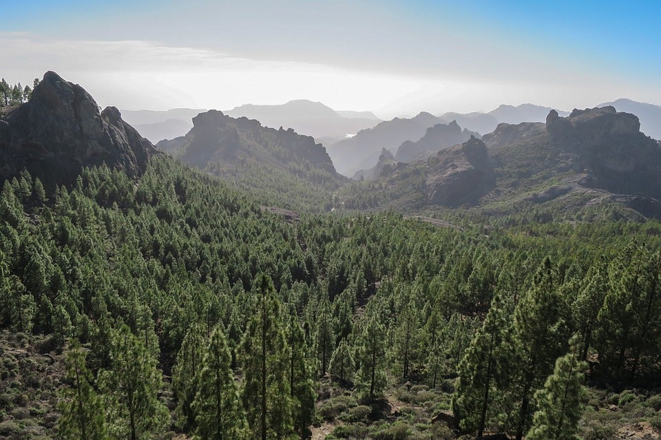 La Brújula de Canarias Jueves 26/09/2019 La Brújula de Canarias Jueves 26/09/2019