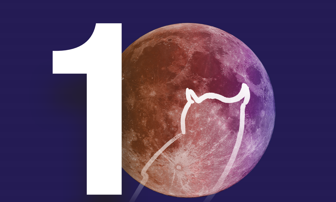 Noche de los Investigadores 2020. Noche de los Investigadores 2020.