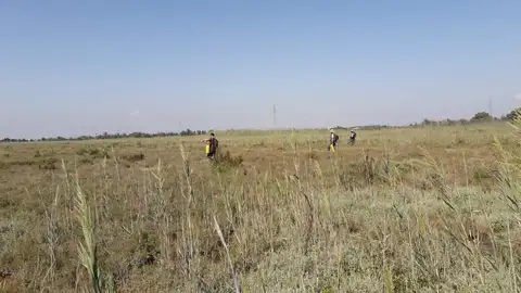 Trabajos de fumigación contra mosquitos en Elche. Trabajos de fumigación contra mosquitos en Elche.