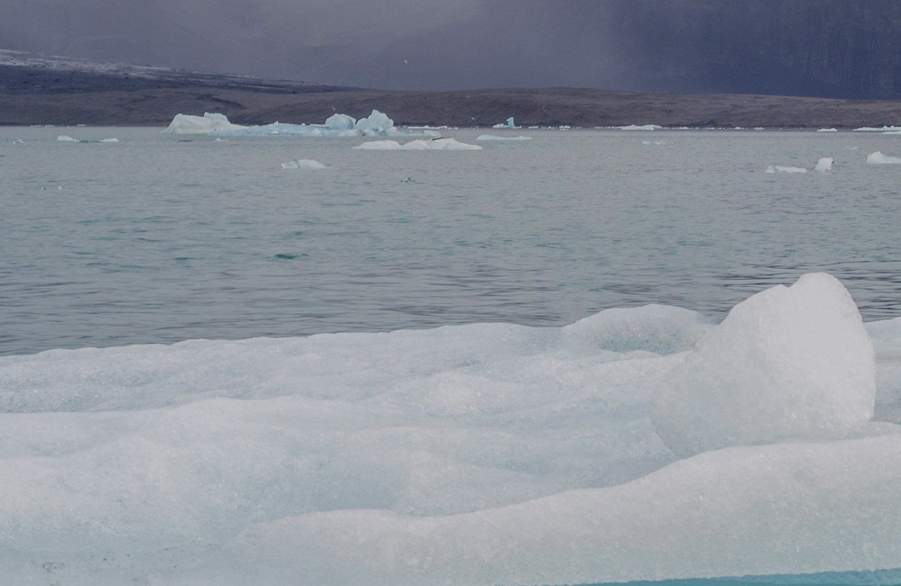 Gabinete de autor: ¿Qué se debe hacer para frenar el cambio climático? Gabinete de autor: ¿Qué se debe hacer para frenar el cambio climático?