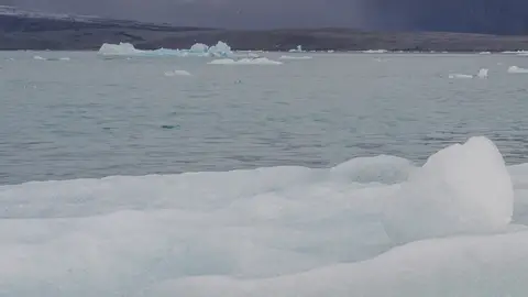 Fondo cambio climático Fondo módulo cambio climático