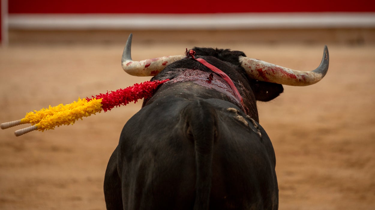 Va por Ustedes 12/12/2019 Va por Ustedes 12/12/2019