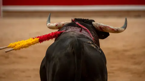 Toro (archivo) Toro (archivo)