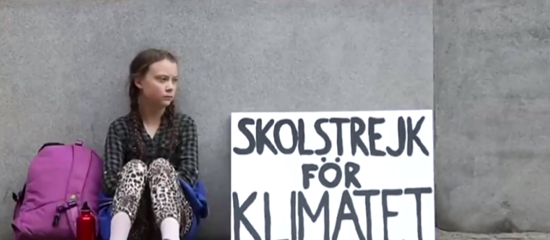 ¿Son injustas las críticas a Greta Thunberg por sus discursos y el movimiento Viernes por el futuro? ¿Son injustas las críticas a Greta Thunberg por sus discursos y el movimiento Viernes por el futuro?