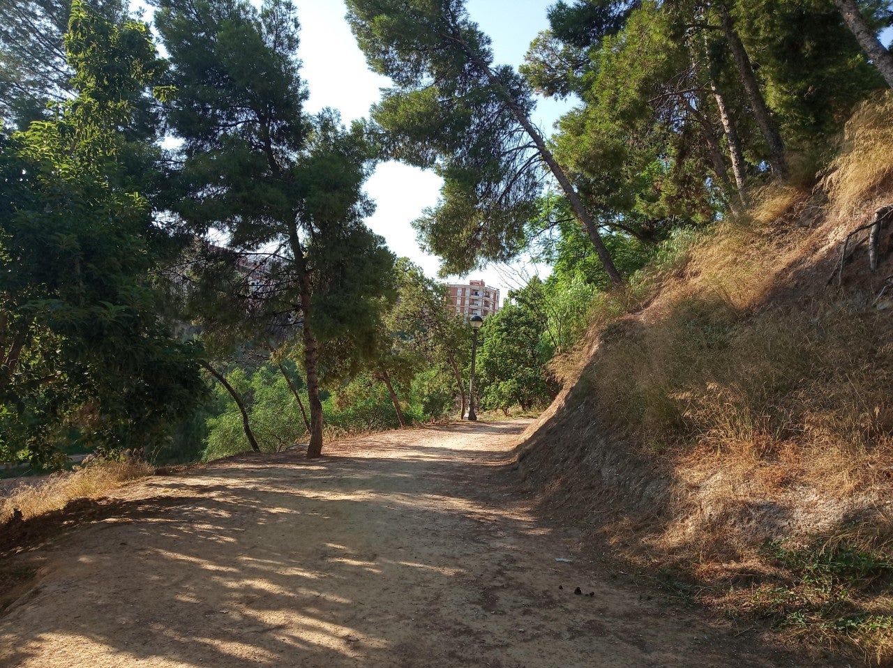 El día se espera en Elche, Crevillent y Santa Pola soleado, con paso de nubes altas y temperaturas en ascenso El día se espera en Elche, Crevillent y Santa Pola soleado, con paso de nubes altas y temperaturas en ascenso