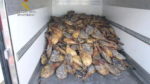 detenidas tres personas de Pinos Puente 