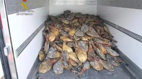 Jamones sustraidos en Cúllar detenidas tres personas de Pinos Puente