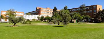 I Premio Mujer La Rioja 2019 candidata Elisabeth Barroso I Premio Mujer La Rioja 2019 candidata Elisabeth Barroso