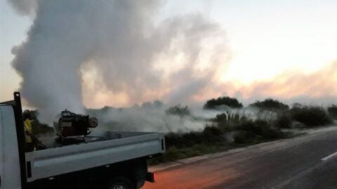 Trabajos de fumigaci&oacute;n contra mosquitos en Elche.