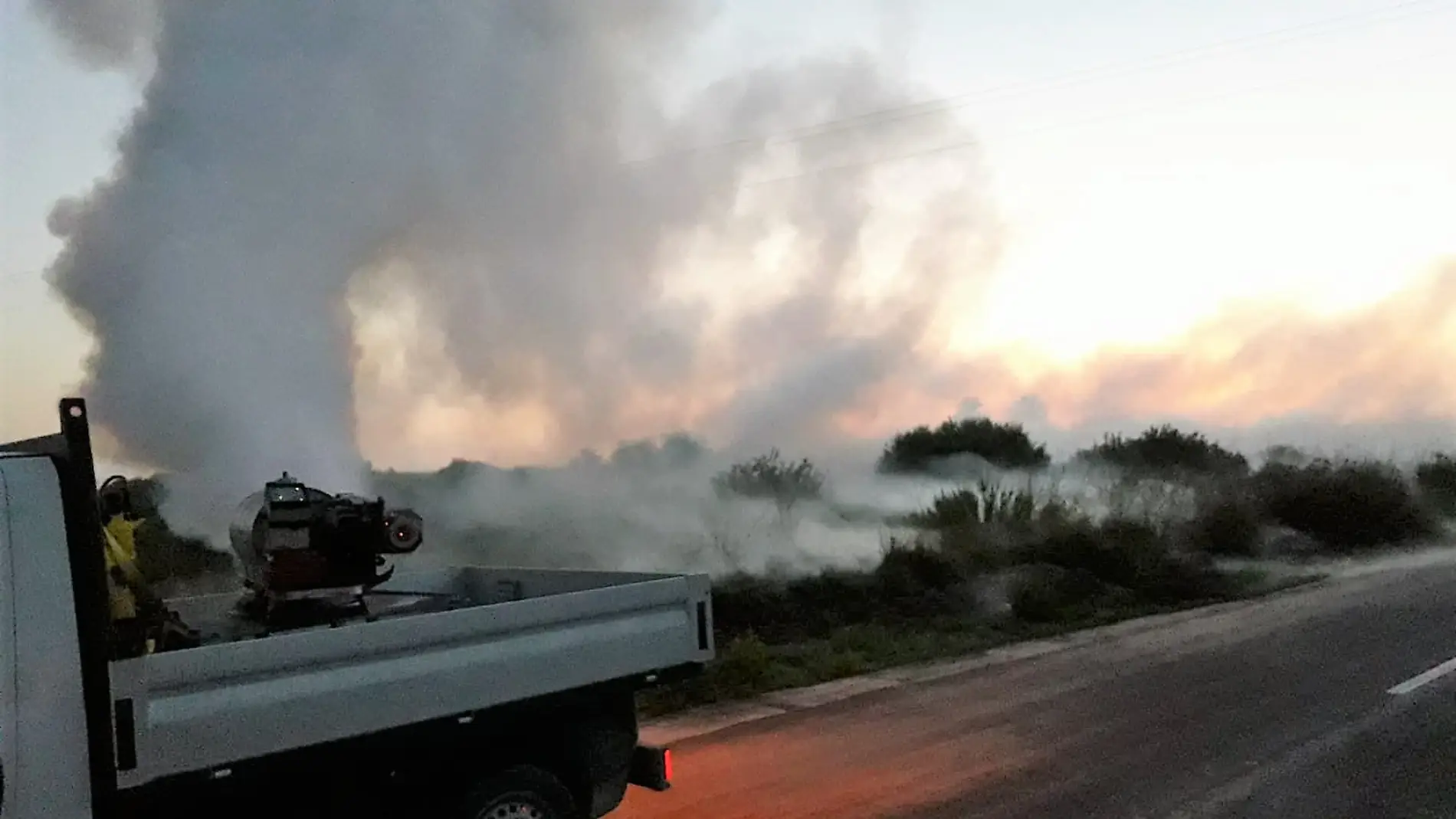 Trabajos de fumigación contra mosquitos en Elche.