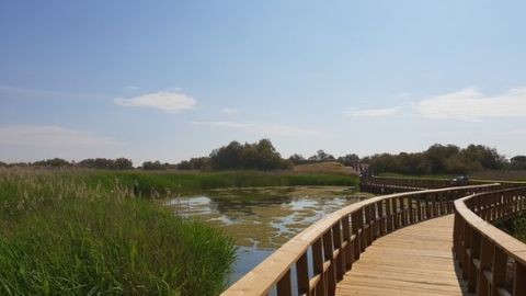 Parque Nacional de las Tablas de Daimiel