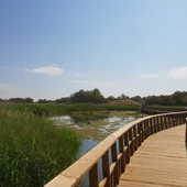 Parque Nacional de las Tablas de Daimiel Parque Nacional de las Tablas de Daimiel