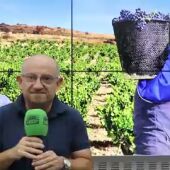 El parte del Borrascas: “Haga frío, lluvia o calor San Saturio el día dos”