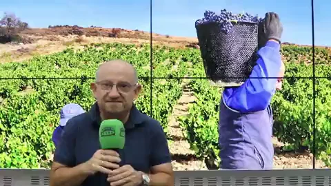 El parte del Borrascas: “Haga frío, lluvia o calor San Saturio el día dos” El parte del Borrascas: “Haga frío, lluvia o calor San Saturio el día dos”