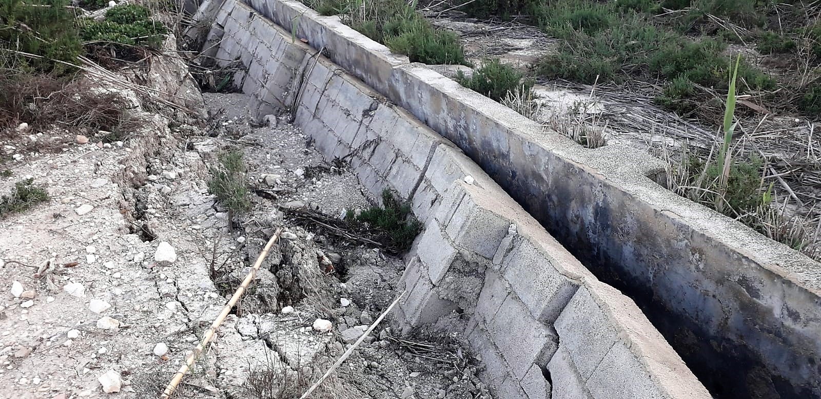 Los agricultores de Carrizales valoran en 800.000 euros los daños causados por la DANA de septiembre en cultivos e infraestructuras Los agricultores de Carrizales valoran en 800.000 euros los daños causados por la DANA de septiembre en cultivos e infraestructuras