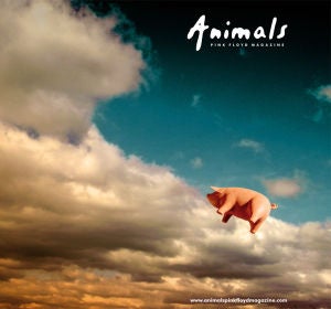 Animals Pink Floyd Magazine Animals Pink Floyd Magazine