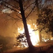 Imagen del incendio declarado en Casares, Málaga Imagen del incendio declarado en Casares, Málaga