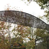 Tres de las fuentes donde se detectaron legionela están en el Parque de Gasset Tres de las fuentes donde se detectaron legionela están en el Parque de Gasset