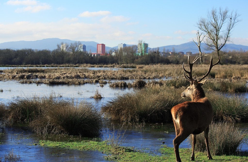 Más de uno Álava 03/10/2019 Más de uno Álava 03/10/2019
