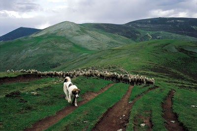 Más de Uno Cantabria 21/07/2022 Más de Uno Cantabria 21/07/2022