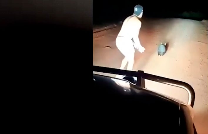Indignación en Australia por el vídeo de un policía apedreando hasta la muerte a un wómbat Indignación en Australia por el vídeo de un policía apedreando hasta la muerte a un wómbat