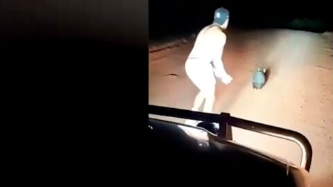 Momento de la agresi&oacute;n de un polic&iacute;a a un w&oacute;mbat