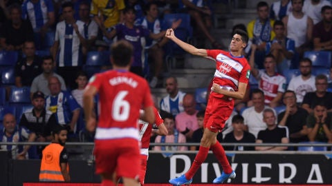 Carlos Fern&aacute;ndez celebra un gol