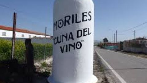 Cata de los vinos de Moriles