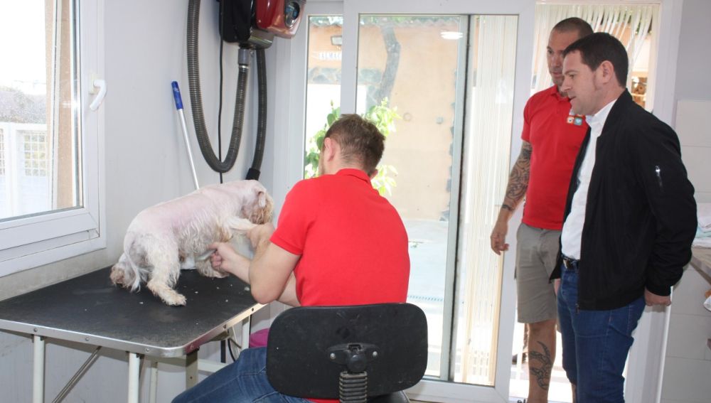 El servicio municipal de rescate de animales de Castelló supera las 150 adopciones .