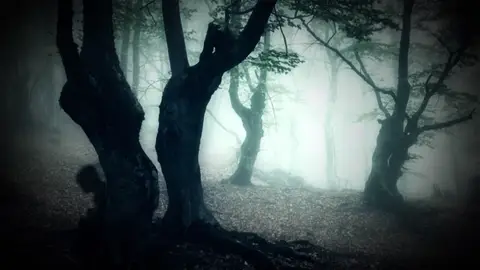 Testigos de lo paranormal - Capítulo 8: Un fantasma en el pub encantado y más Testigos de lo paranormal - Capítulo 8: Un fantasma en el pub encantado y más